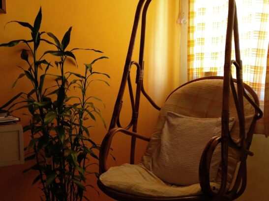 Photo neurological physiotherapy at home Rome